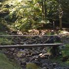 Wandern im Allgäu - Brücke