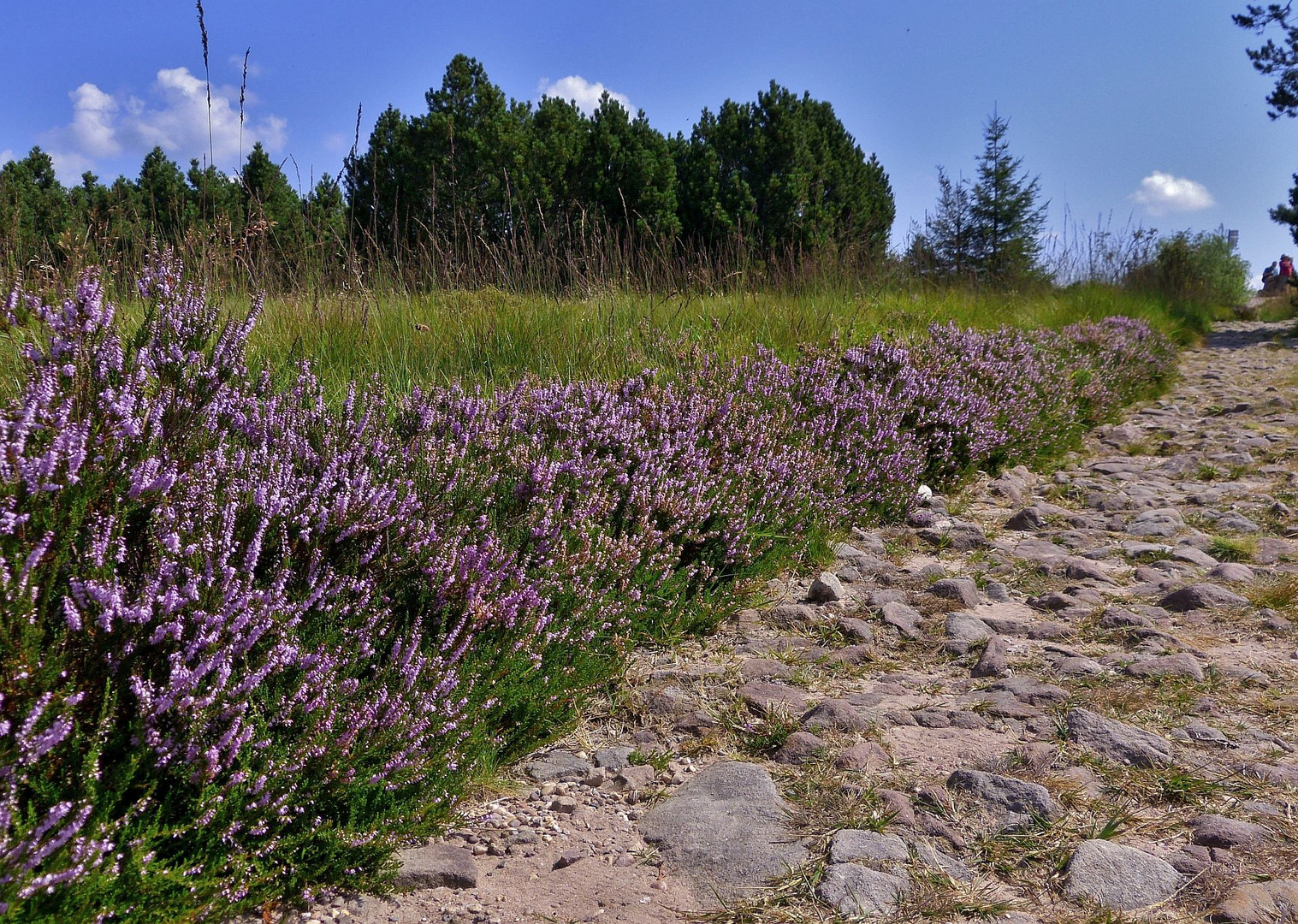 Wandern im August