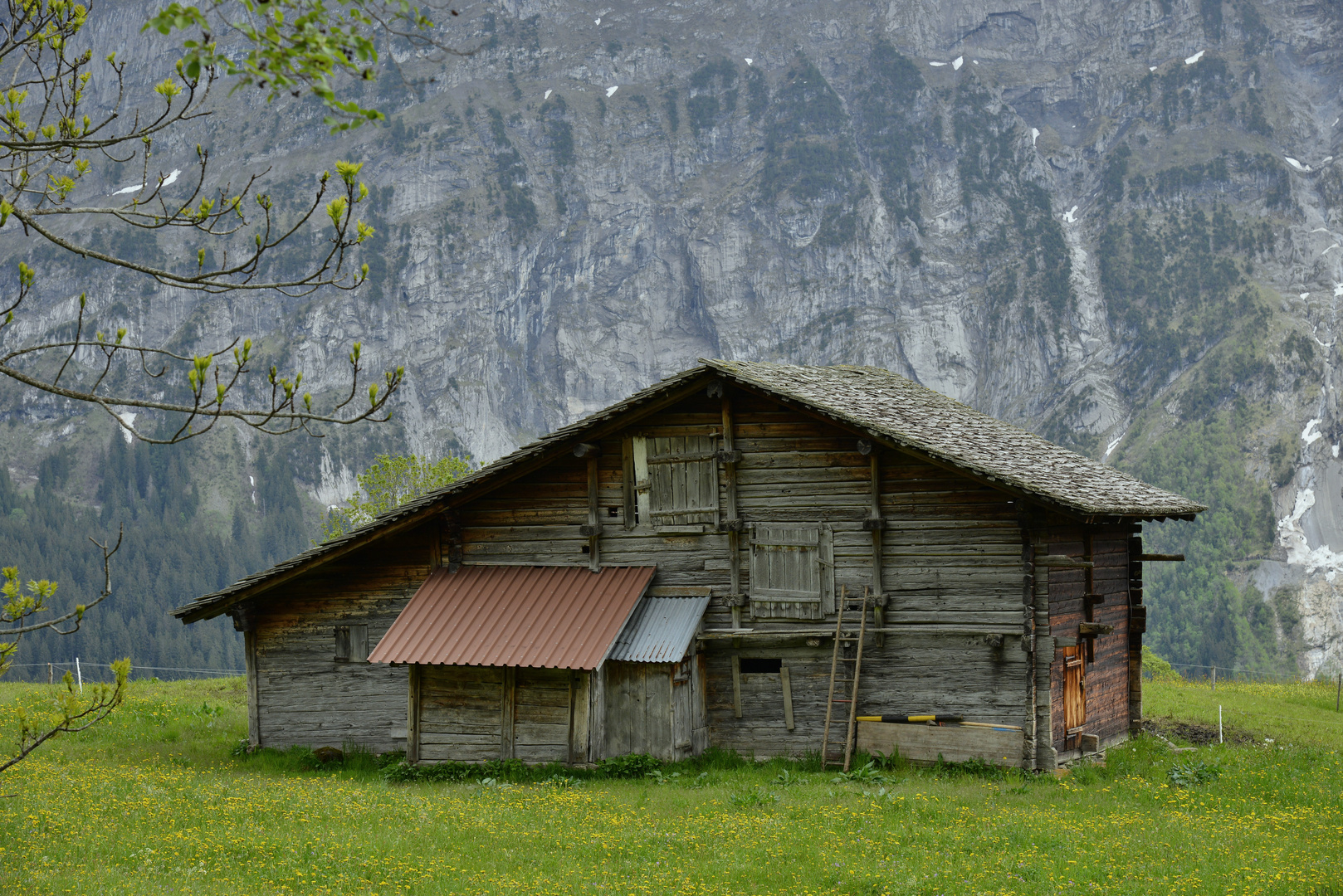 wandern im