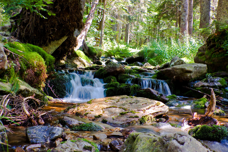 Wandern im Bayrischen Wald