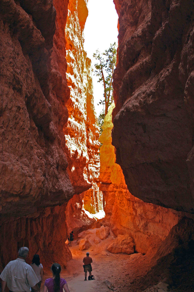 Wandern im Bryce Canyon