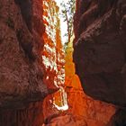 Wandern im Bryce Canyon