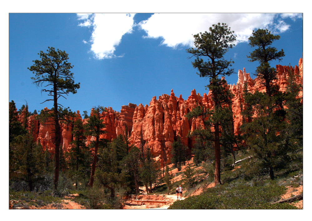 Wandern im Bryce Canyon