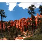 Wandern im Bryce Canyon