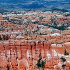 Wandern im Bryce Canyon