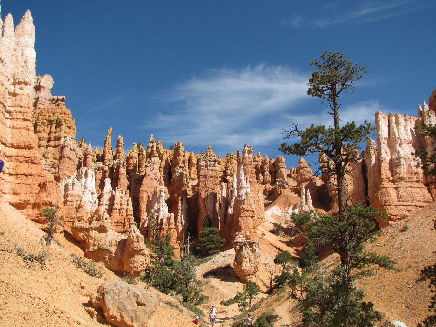 Wandern im Bryce Canyon