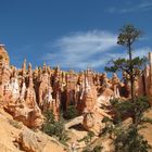 Wandern im Bryce Canyon