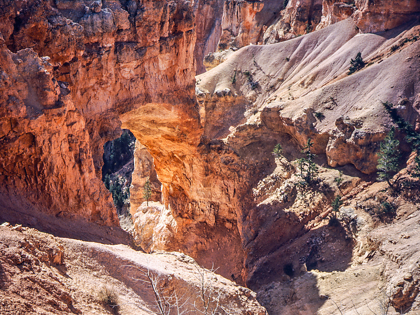 WANDERN IM BRYCE CANYON....