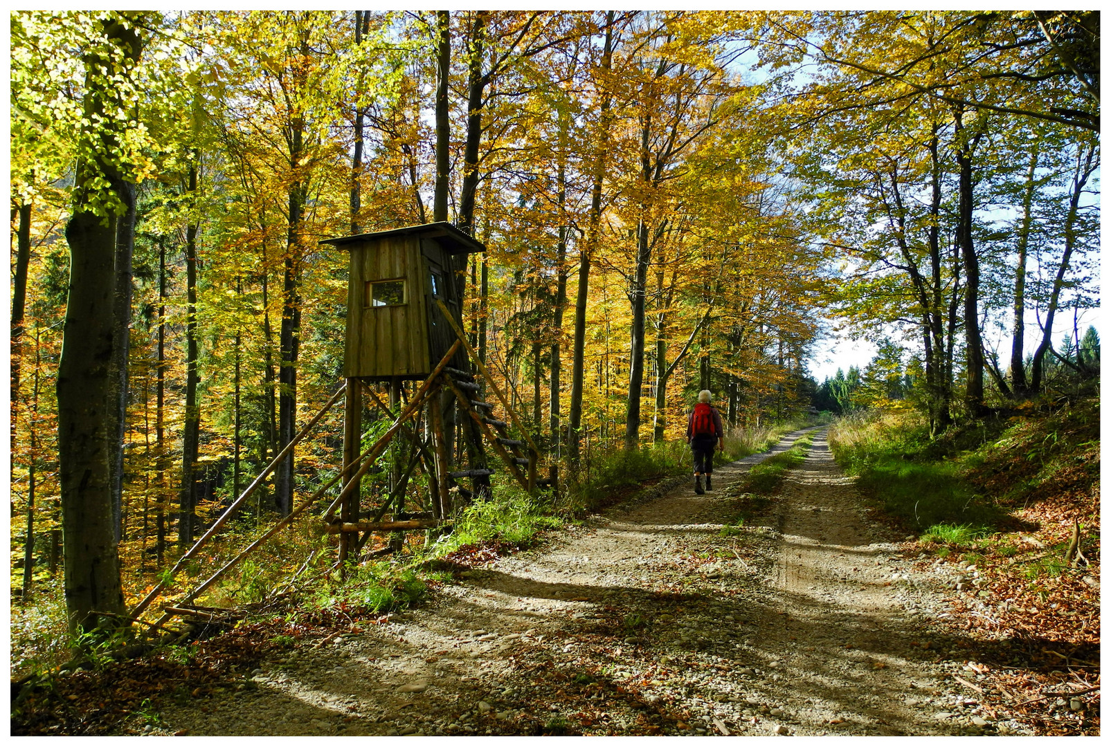 Wandern im bunten Herbst.