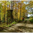 Wandern im bunten Herbst.