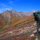 Wandern im Denali