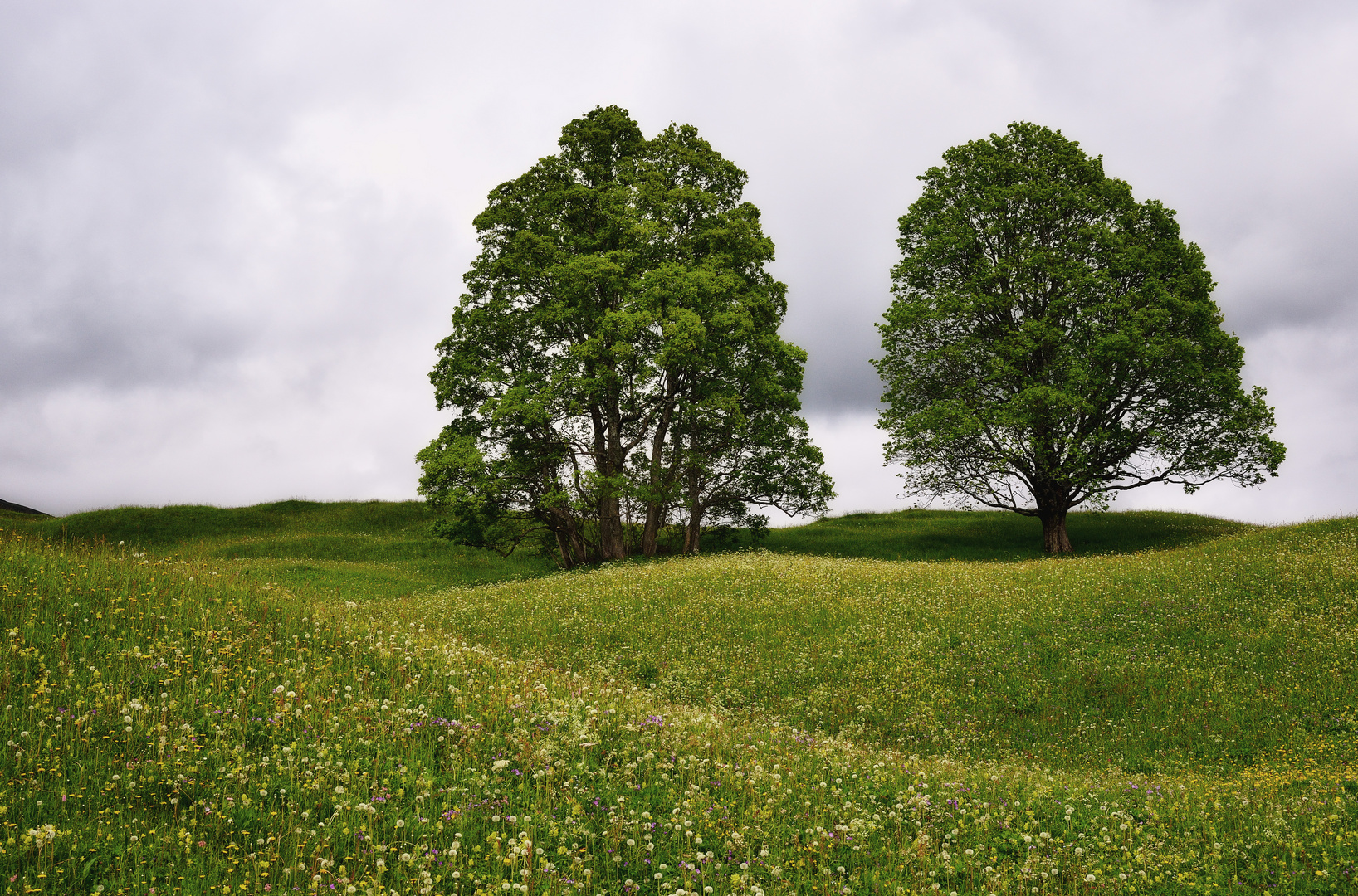 .wandern im