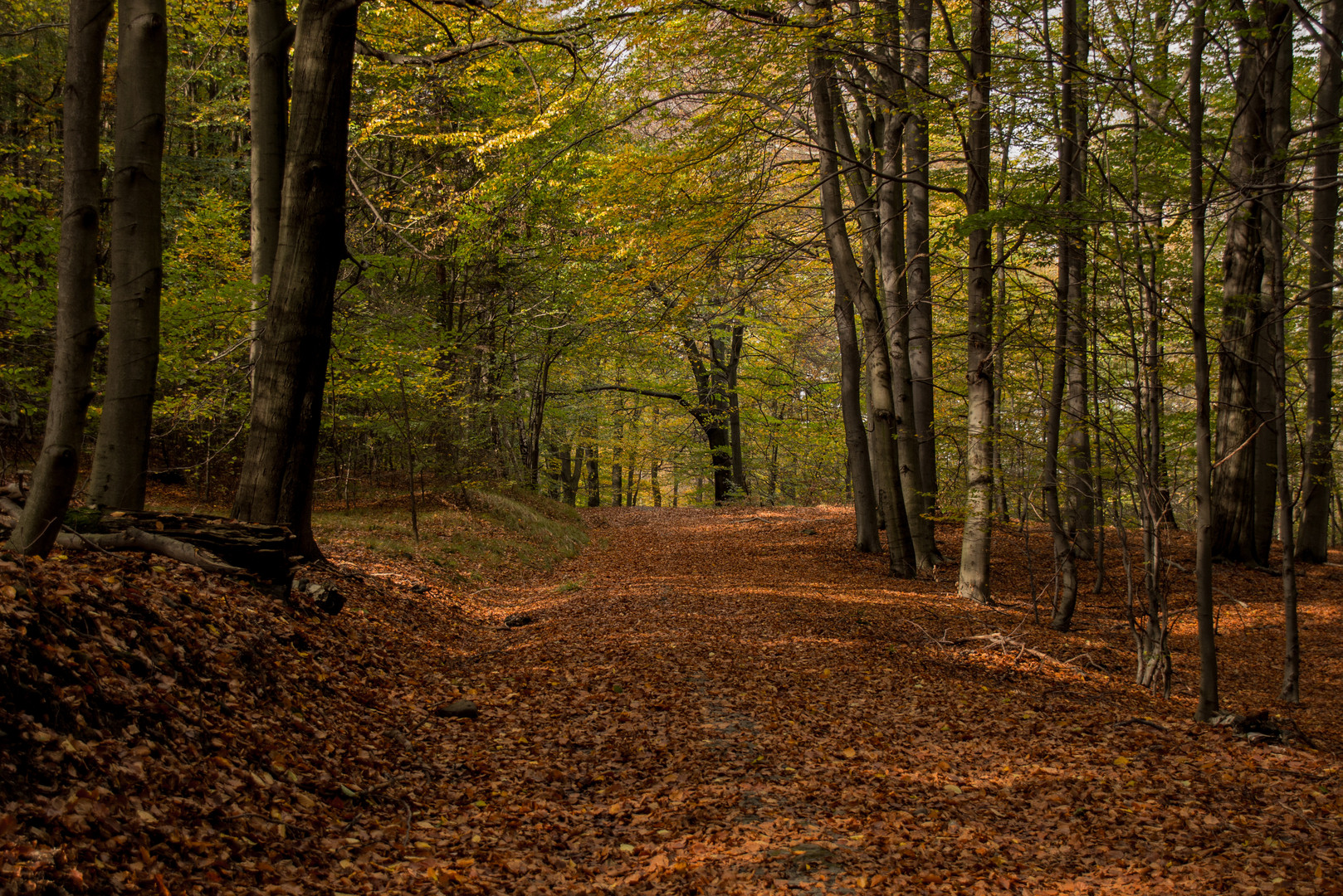 Wandern im Elbsand...