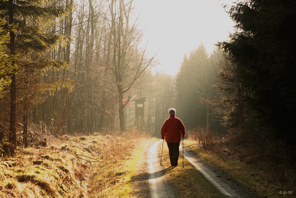 wandern im februar