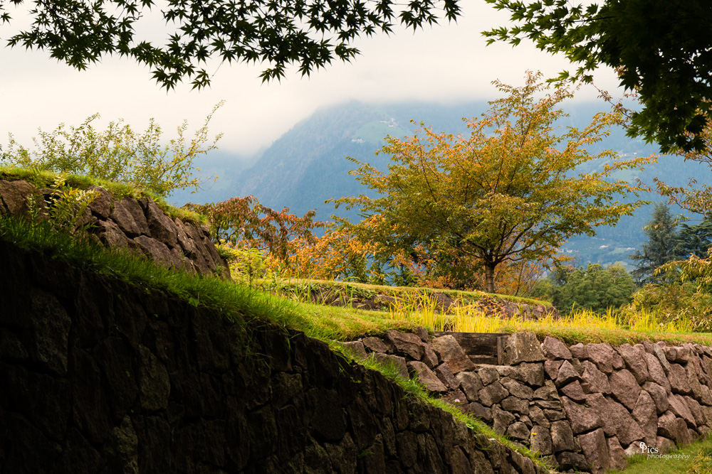 Wandern im Garten