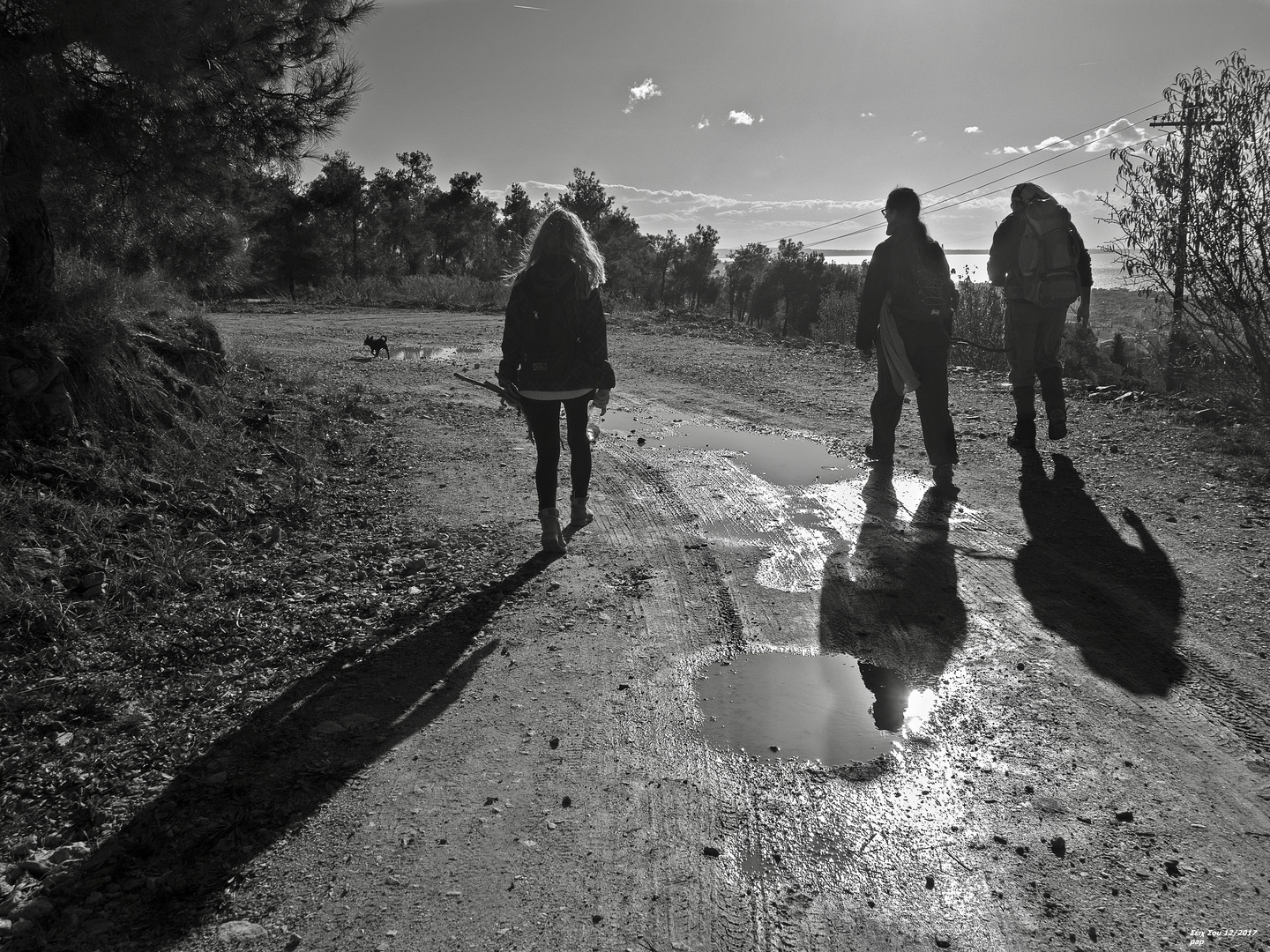 Wandern im Gegenlicht! (F82)