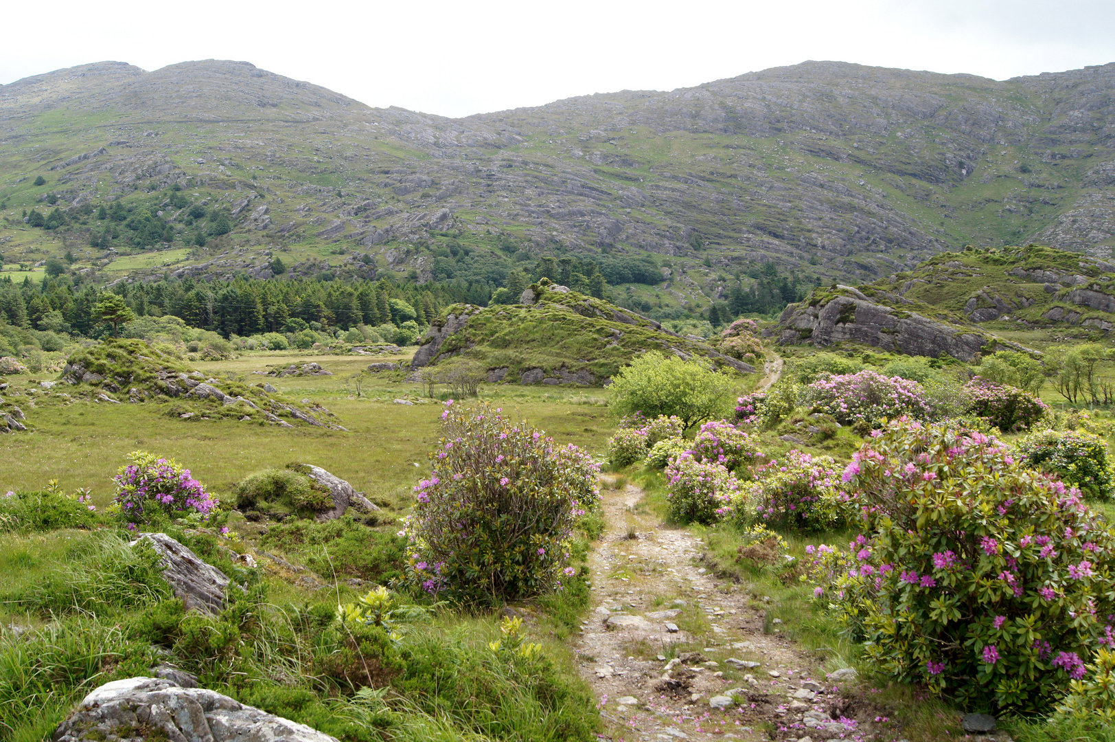 Wandern im Glanmore Valley