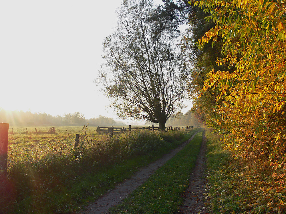 Wandern im goldenen Herbst