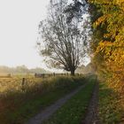 Wandern im goldenen Herbst