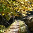 Wandern im Harz