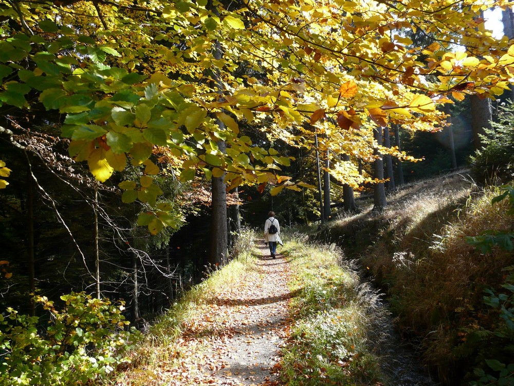 Wandern im Harz