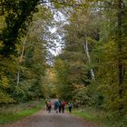 Wandern im Herbstwald