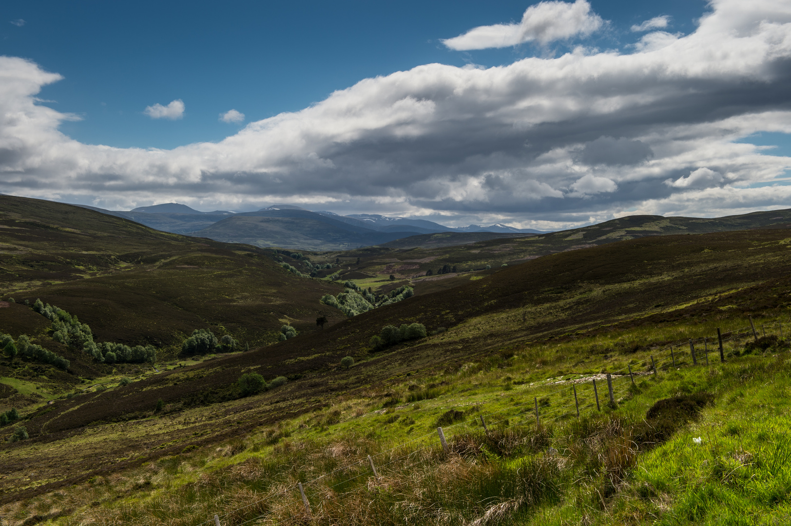 Wandern im Hochmoor