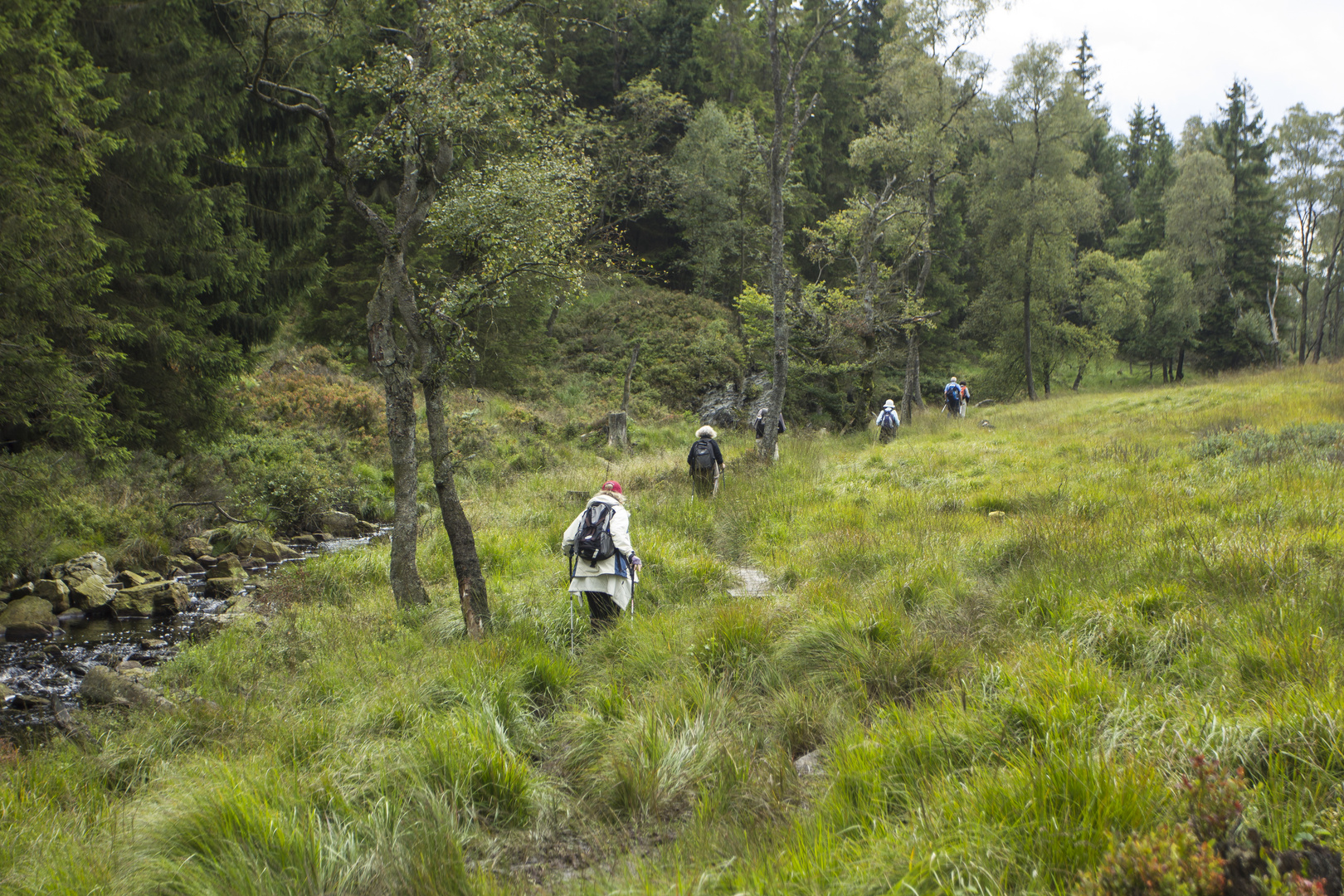 Wandern im Hohen Venn