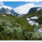 Wandern im Hurrunganegebirge