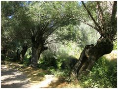 Wandern im Ihlara-Tal