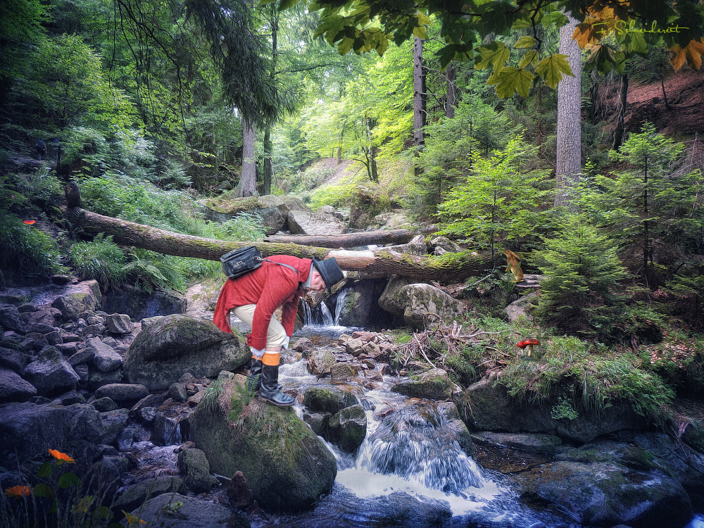 Wandern im Ilsetal