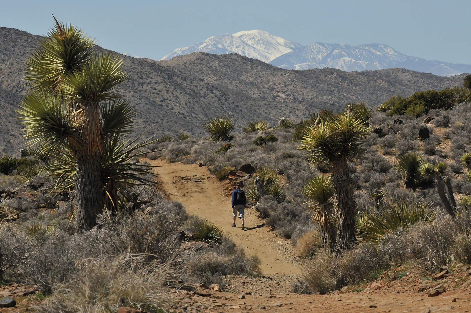 Wandern im Joshua Tree NP