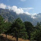 Wandern im Llogara Nationalpark (Albanien)