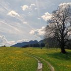 Wandern im Löwenzahnfrühling!