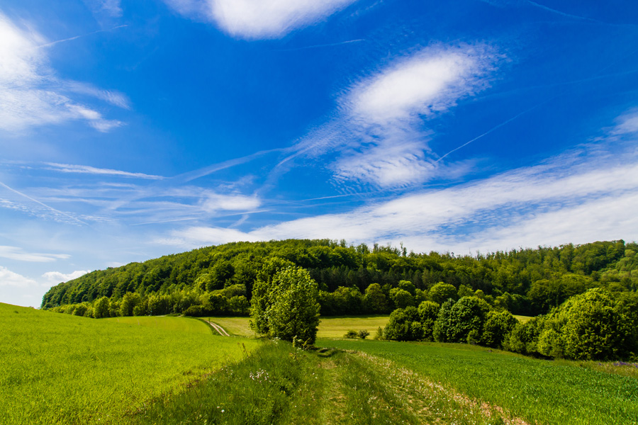 Wandern im Mai