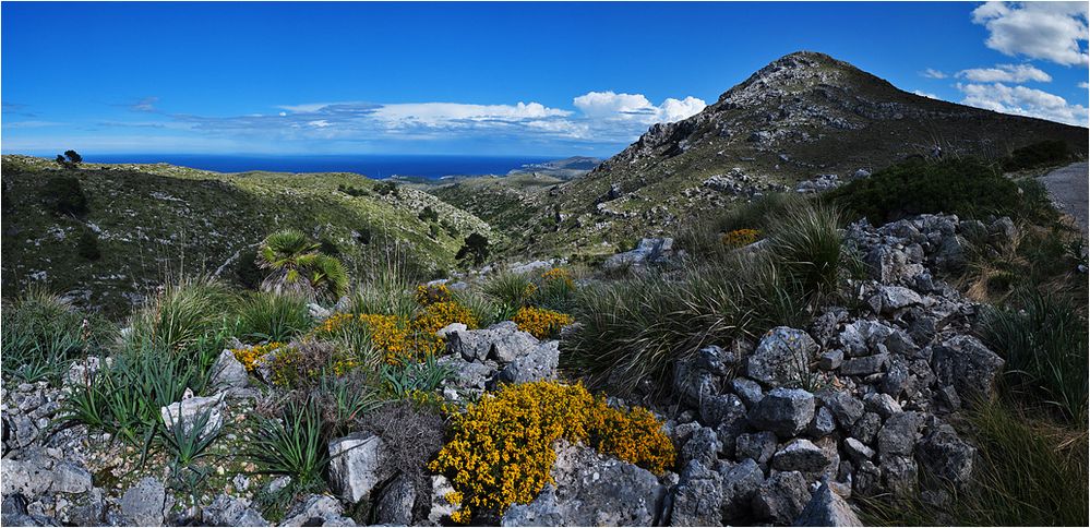 Wandern im Nationalpark Panorama