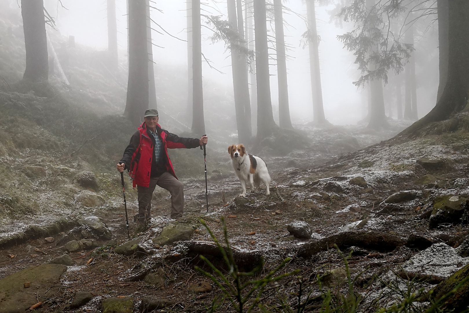 Wandern im Nebel 1