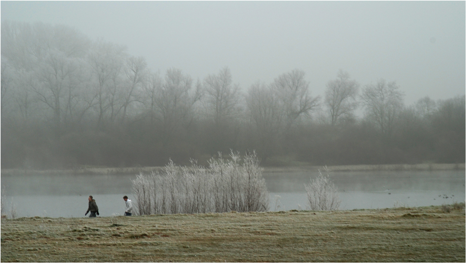 Wandern im Nebel