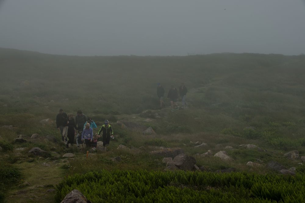 Wandern im Nebel                                       DSC_1620