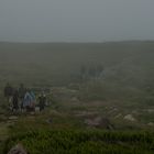 Wandern im Nebel                                       DSC_1620