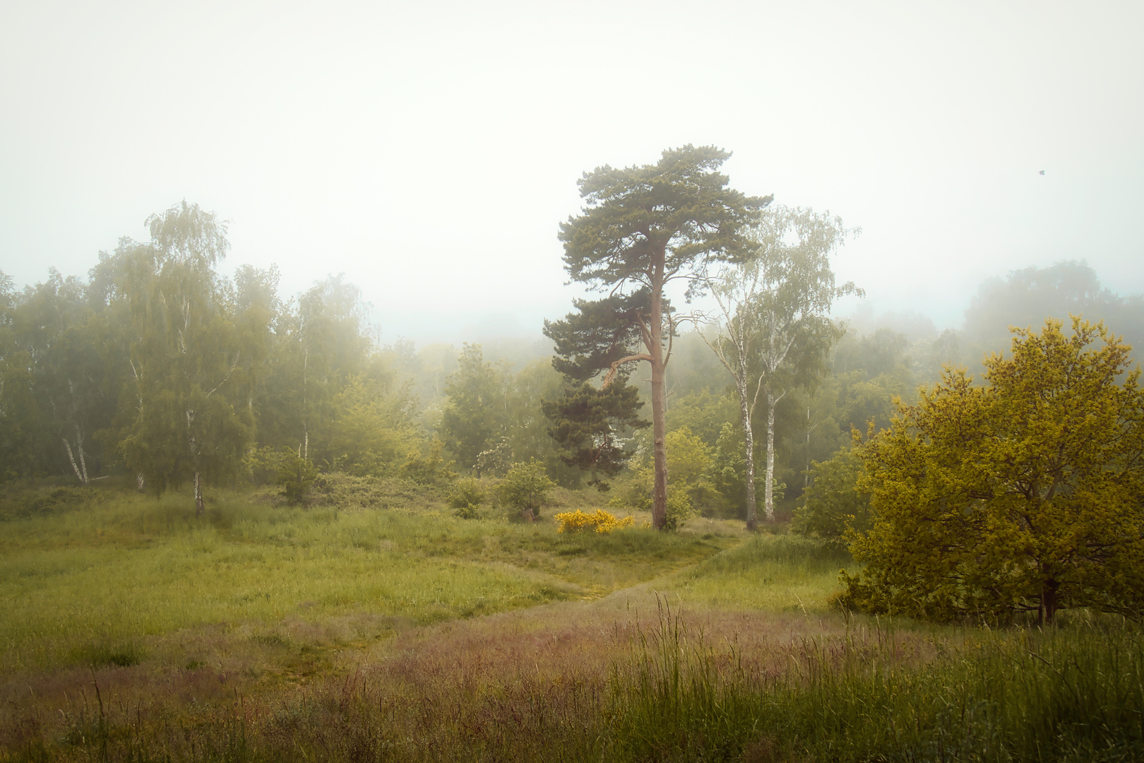 wandern im Nebel :)