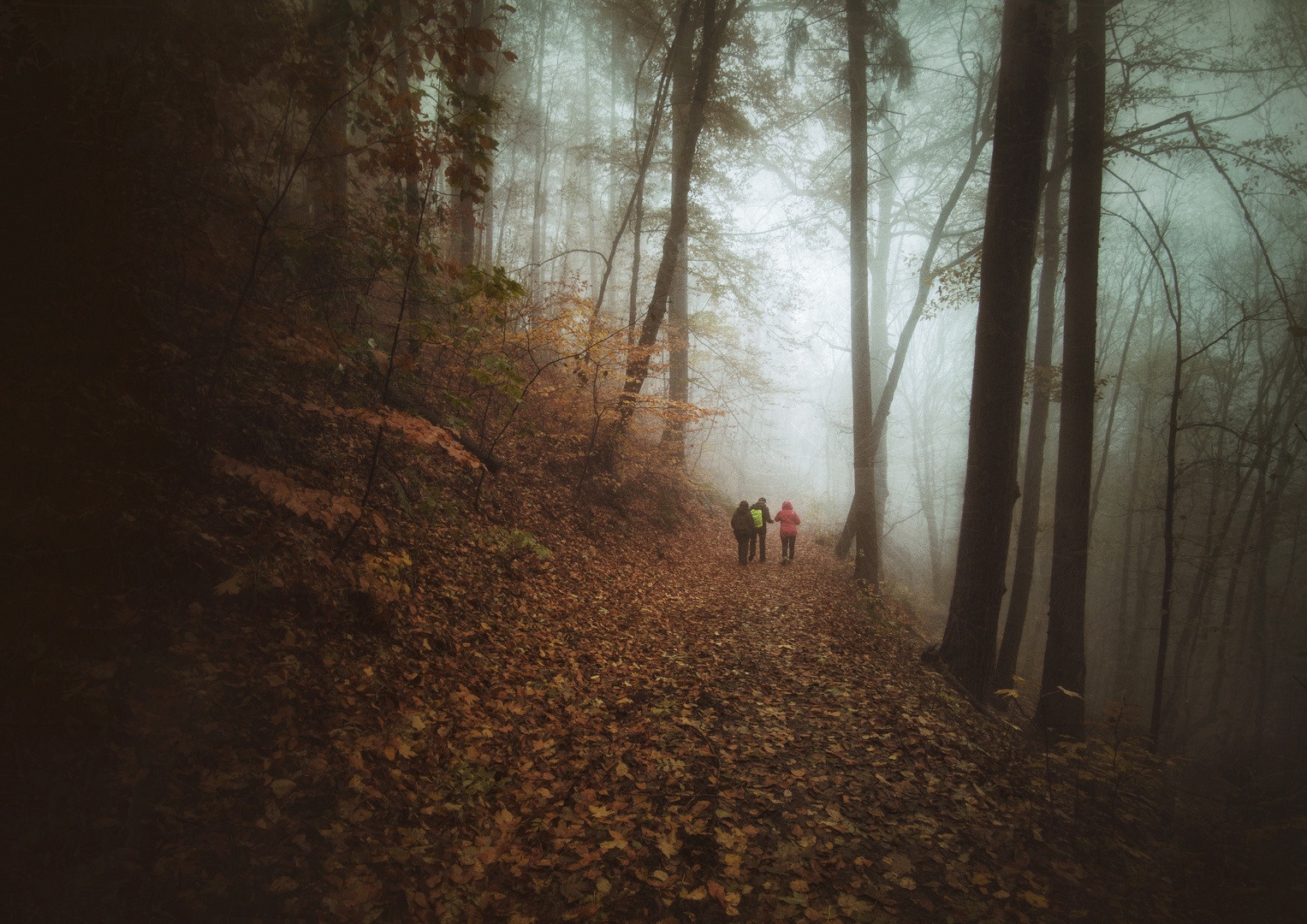 wandern im november