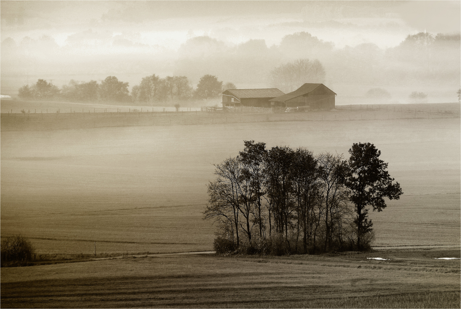 Wandern im Novembernebel 1