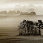 Wandern im Novembernebel 1