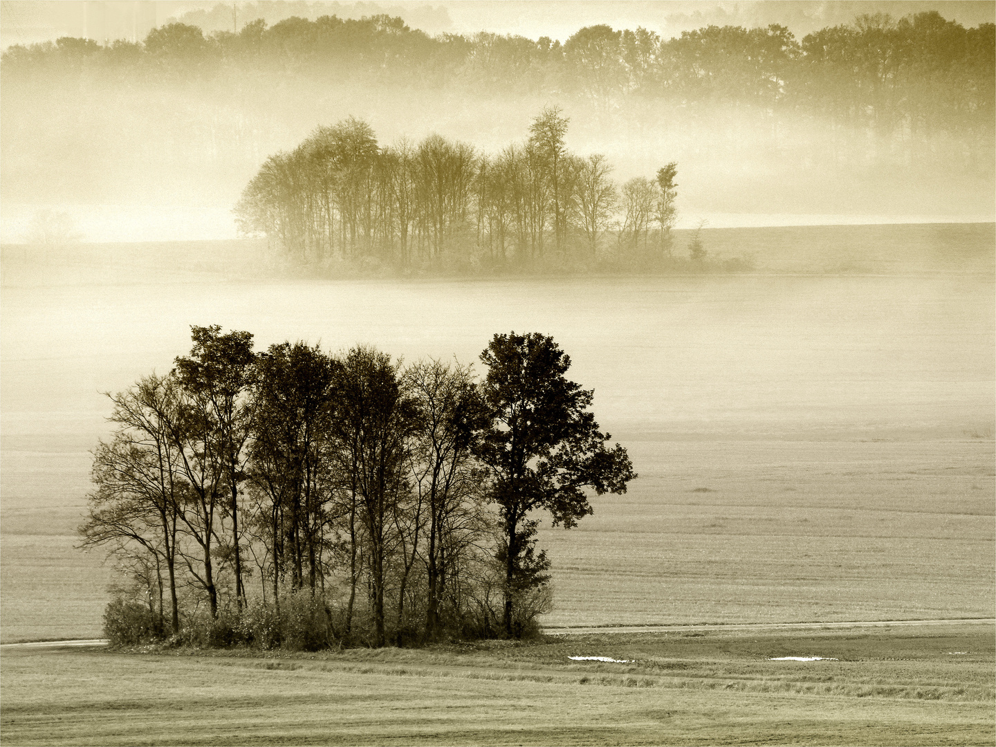 Wandern im Novembernebel 2