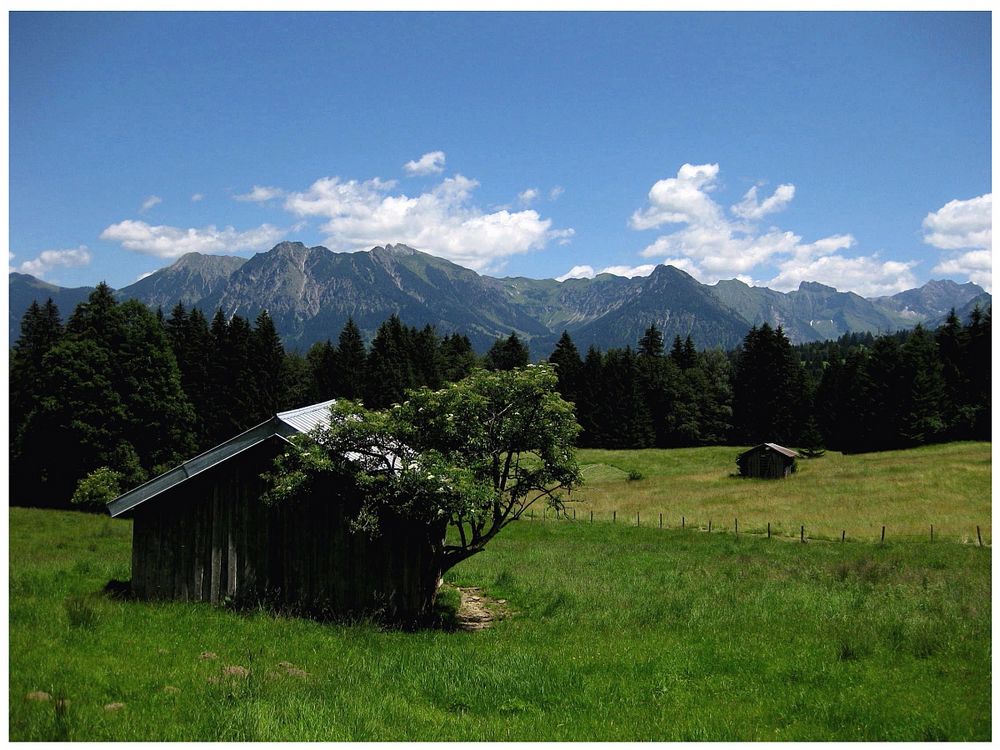 Wandern im Oberallgäu