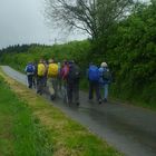 Wandern im Odenwald