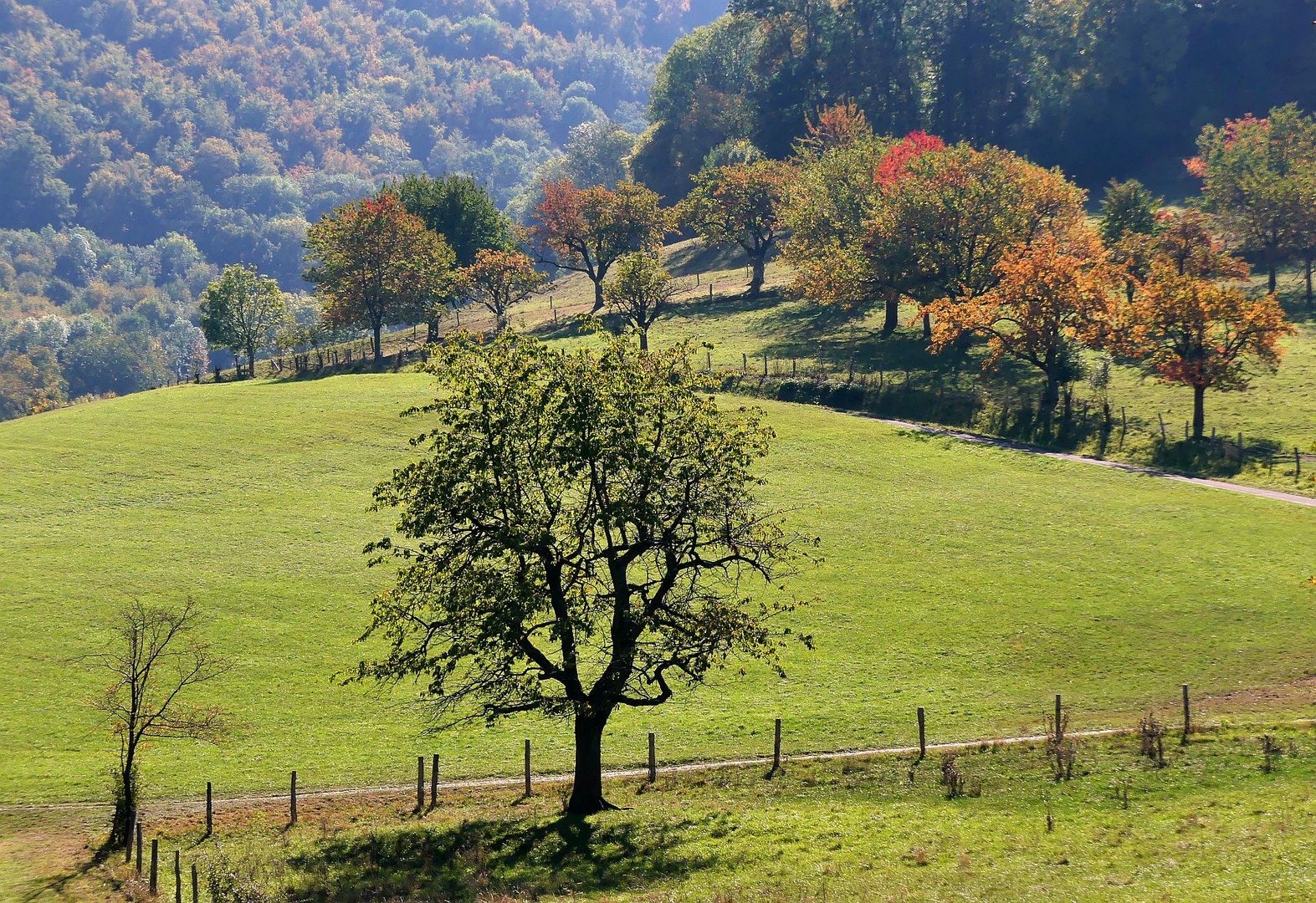 Wandern im Oktober