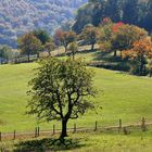 Wandern im Oktober