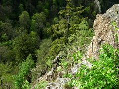 Wandern im Ostharz ; Das Bodetal.